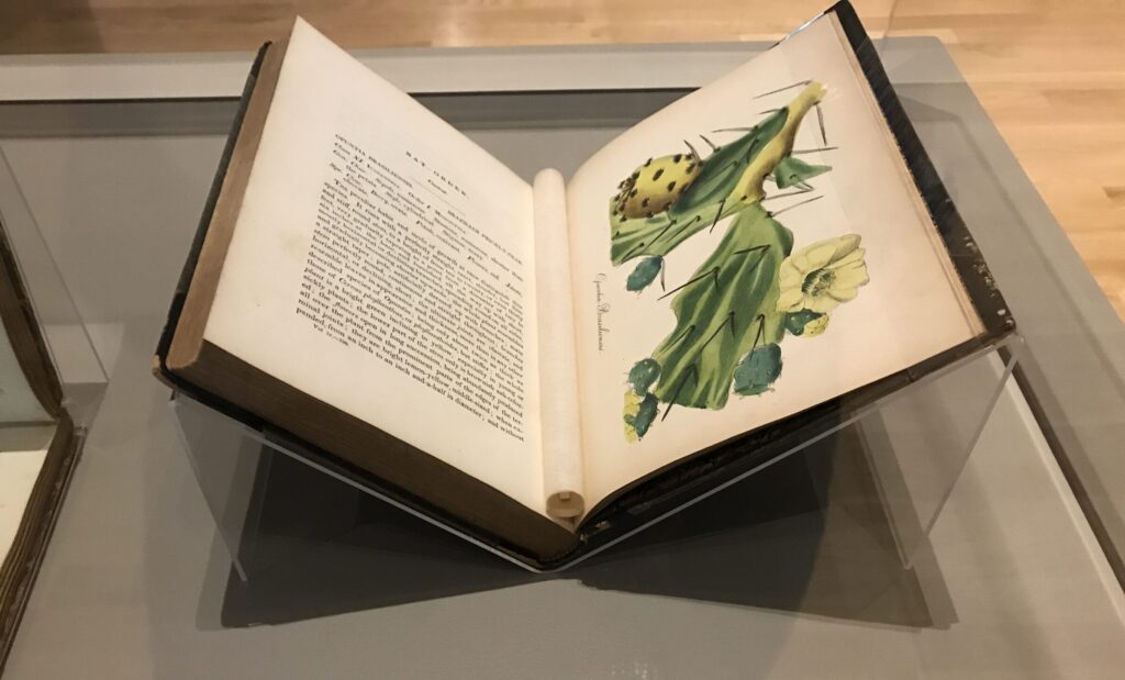 flora book